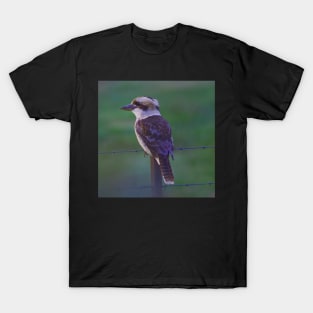 Kookaburra II T-Shirt